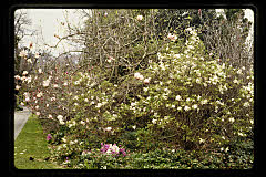 tanSF.C11-14_34()