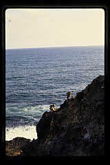 tanSF.C11-15_36()
