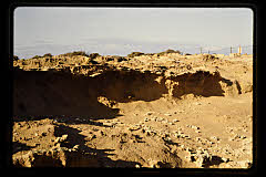 tanSF.C11-18_03()