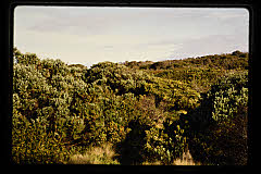 tanSF.C11-18_05()
