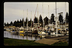 tanSF.C11-18_12()
