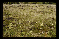 tanSF.C11-20_02()