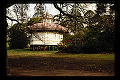 tanSF.C11-20_04()
