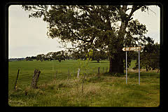 tanSF.C11-20_09()