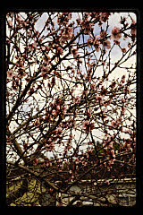 tanSF.C11-20_15()