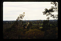 tanSF.C11-20_18()