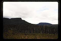 tanSF.C11-20_28()