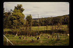 tanSF.C11-20_33()