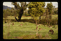 tanSF.C11-20_34()