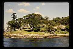 tanSF.C11-23_28()