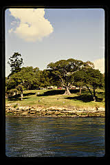 tanSF.C11-23_29()