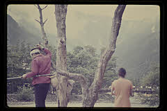 tanSF.D01-05_29()