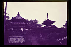 tanSF.D01-07_19()