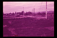 tanSF.D01-08_01()