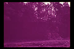 tanSF.D01-08_02()