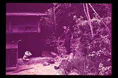 tanSF.D01-08_03()