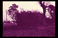 tanSF.D01-08_07()
