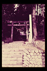 tanSF.D01-08_12()