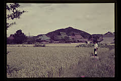tanSF.D01-09_07()