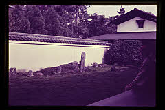 tanSF.D01-10_01()