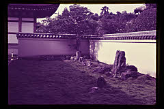 tanSF.D01-10_02()