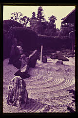 tanSF.D01-10_04()