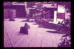 tanSF.D01-10_05()