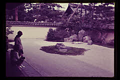 tanSF.D01-10_06()