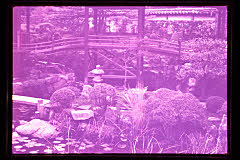 tanSF.D01-10_10()