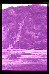 tanSF.D01-11_02()