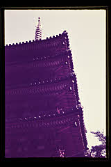tanSF.D01-11_22()