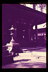 tanSF.D01-12_11()