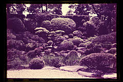 tanSF.D01-12_13()