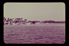 tanSF.D01-13_03()