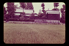 tanSF.D01-13_07()