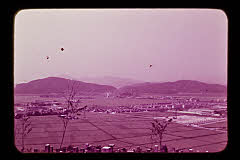 tanSF.D01-13_19()