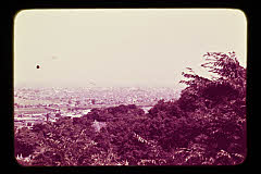 tanSF.D01-13_20()