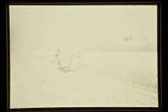 tanSF.D01-16_01()