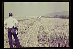 tanSF.D01-16_02()