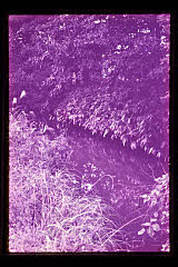 tanSF.D01-20_06()