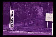 tanSF.D01-20_20()