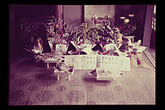 tanSF.D01-23_13()