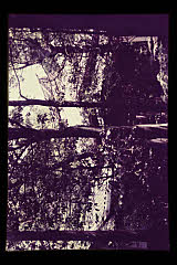 tanSF.D01-24_02()