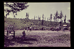 tanSF.D01-25_04()
