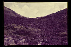 tanSF.D01-25_09()