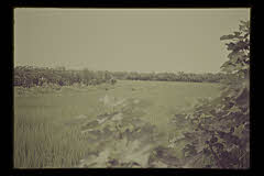 tanSF.D01-25_20()