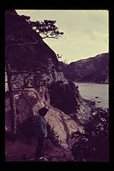 tanSF.D01-26_08()