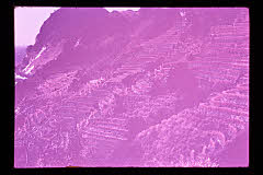 tanSF.D01-26_15()
