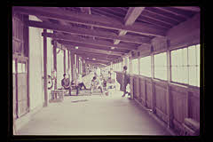tanSF.D02-05_02()