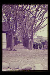 tanSF.D02-05_05()